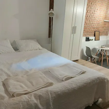 Apartament W Centrum Poznania 波兹南