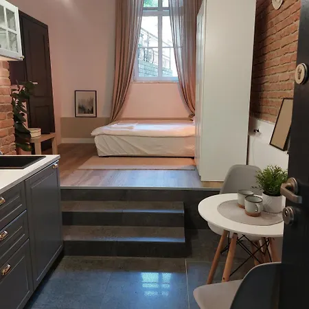 Διαμέρισμα Apartament W Centrum Poznania Πόζναν