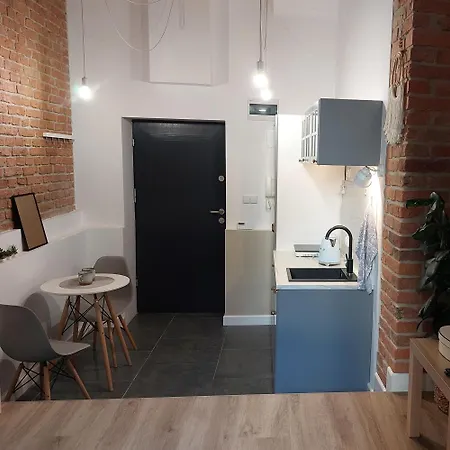 Apartament W Centrum Poznania 公寓